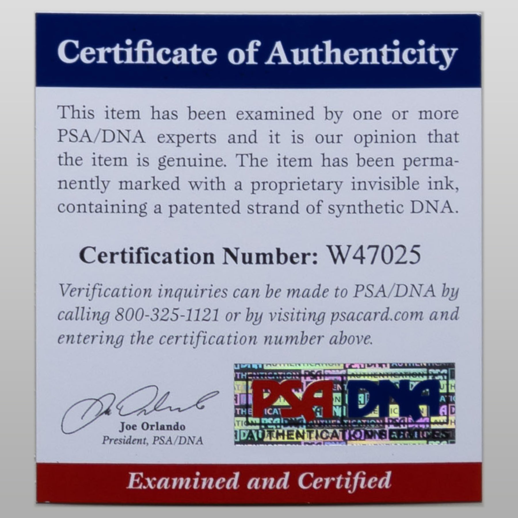 ジョシュ・ギャッド