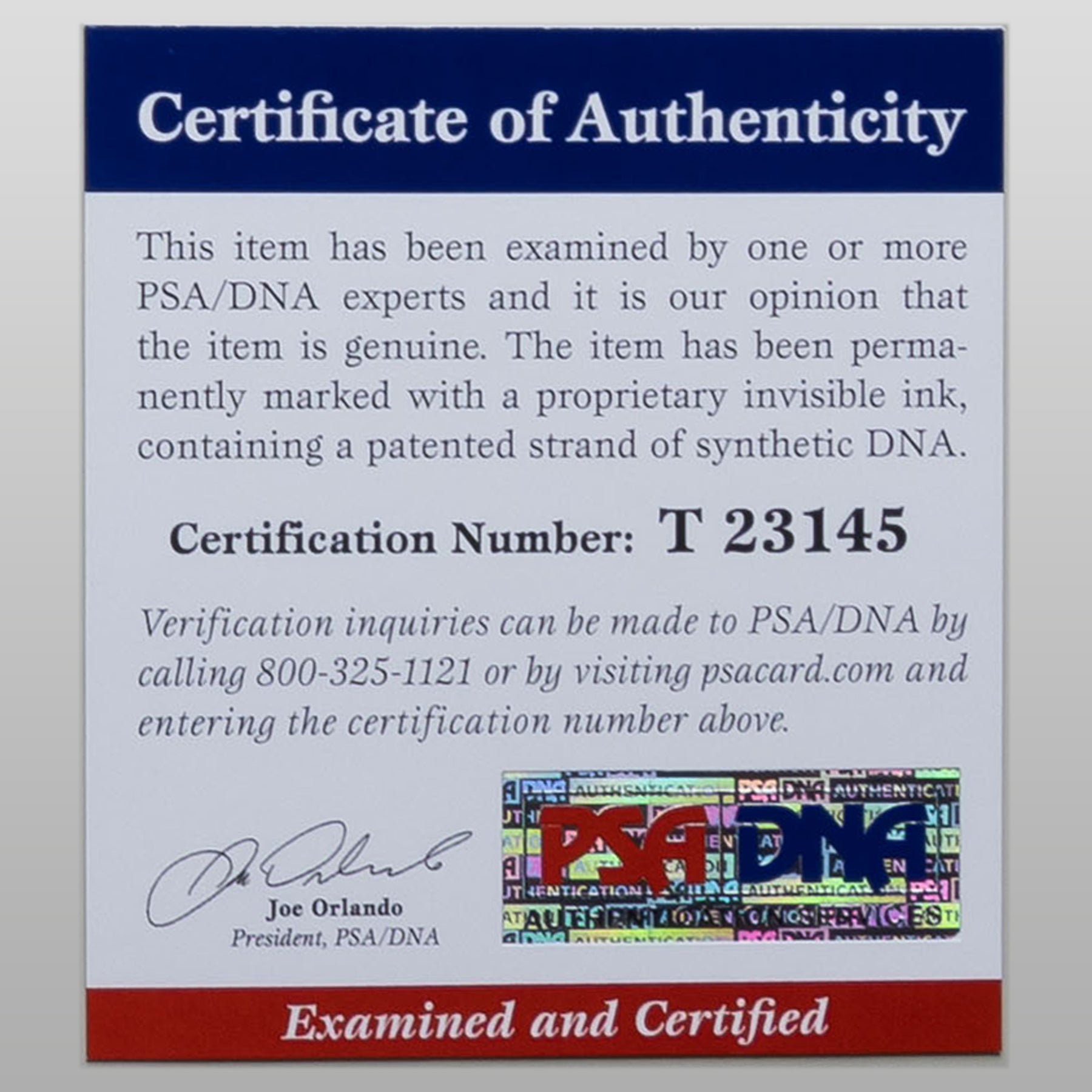 シャイア・ラブーフ