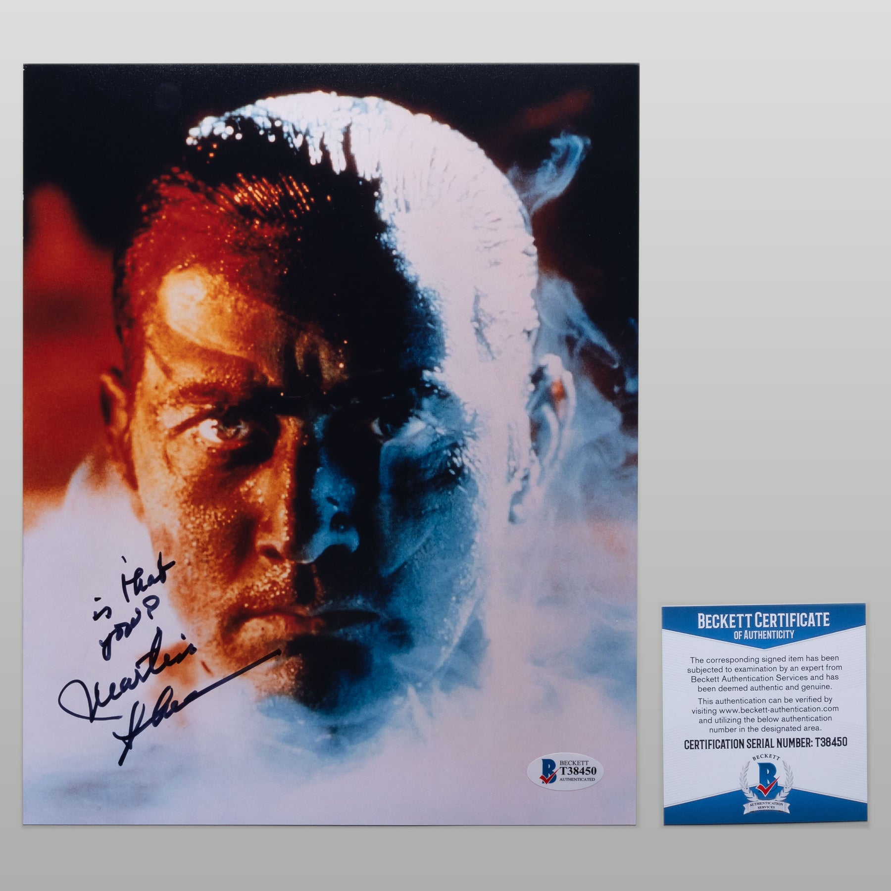 マーティン・シーン