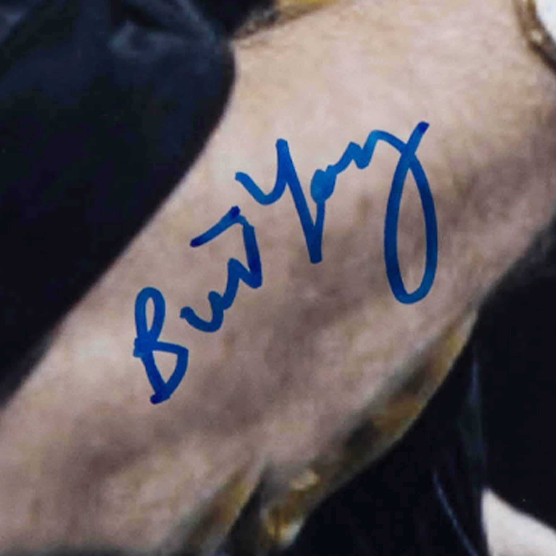 バート・ヤング