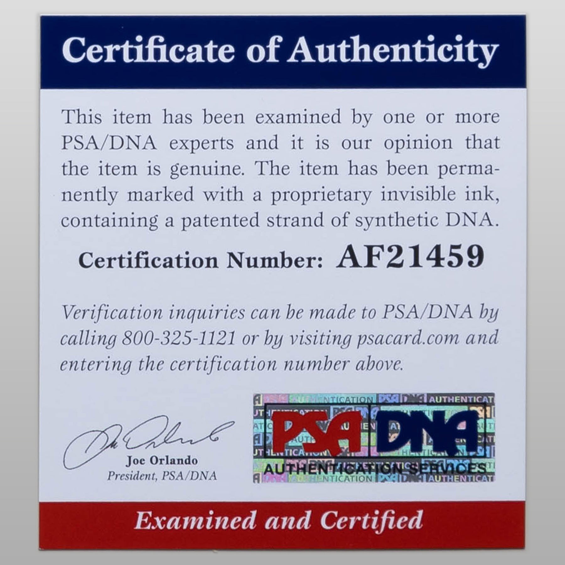 ローサ・サラザール/木城ゆきと