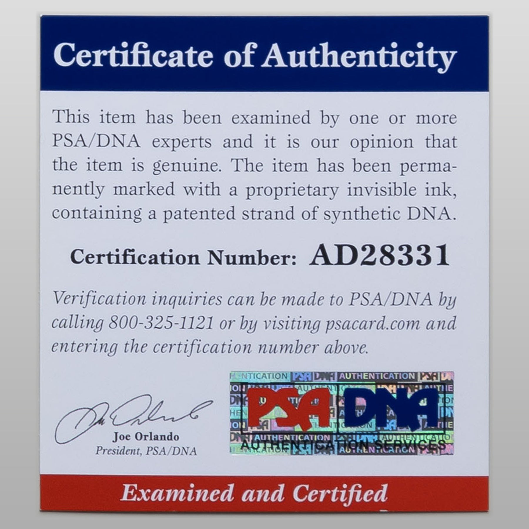 デイジー・リドリー