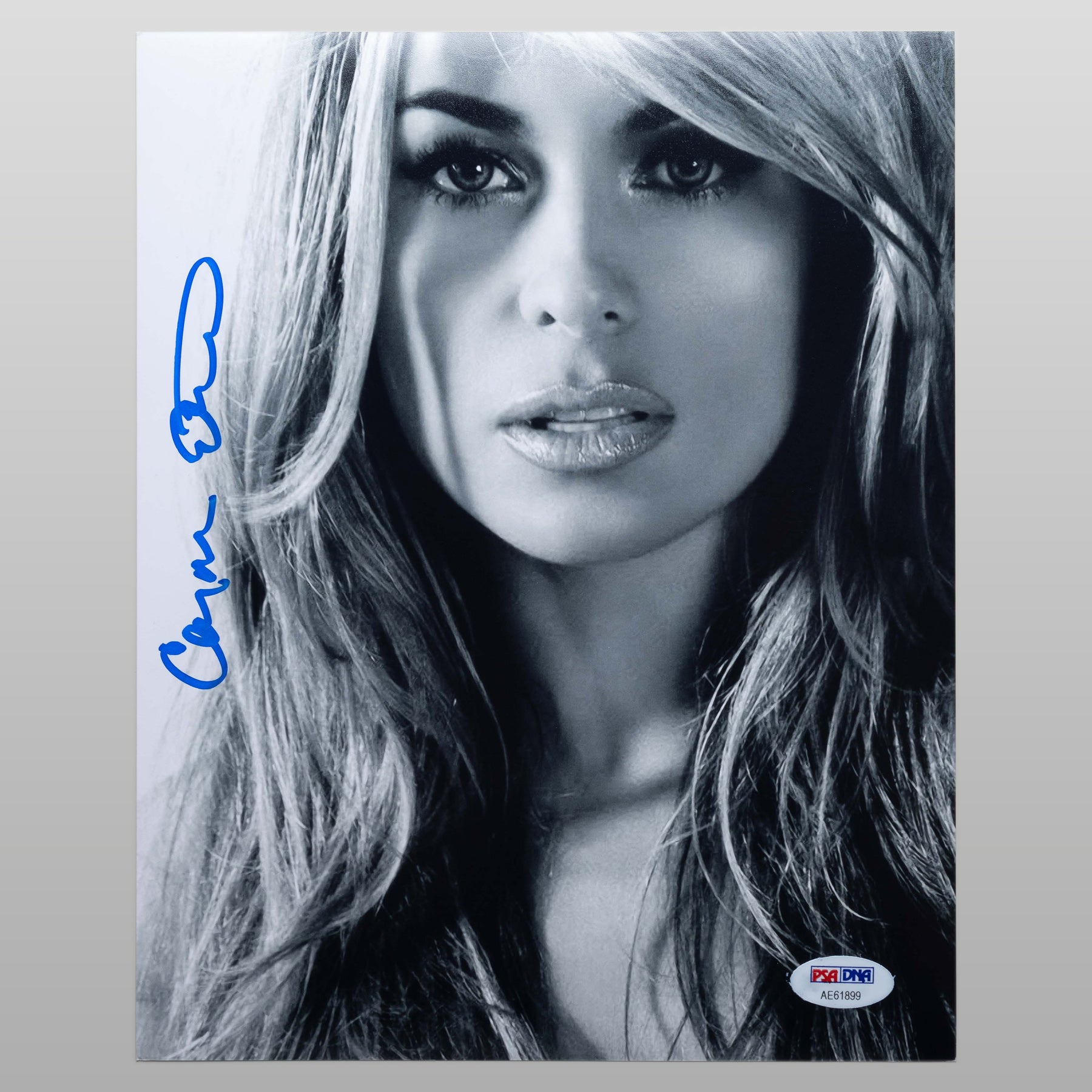 カーメン・エレクトラ