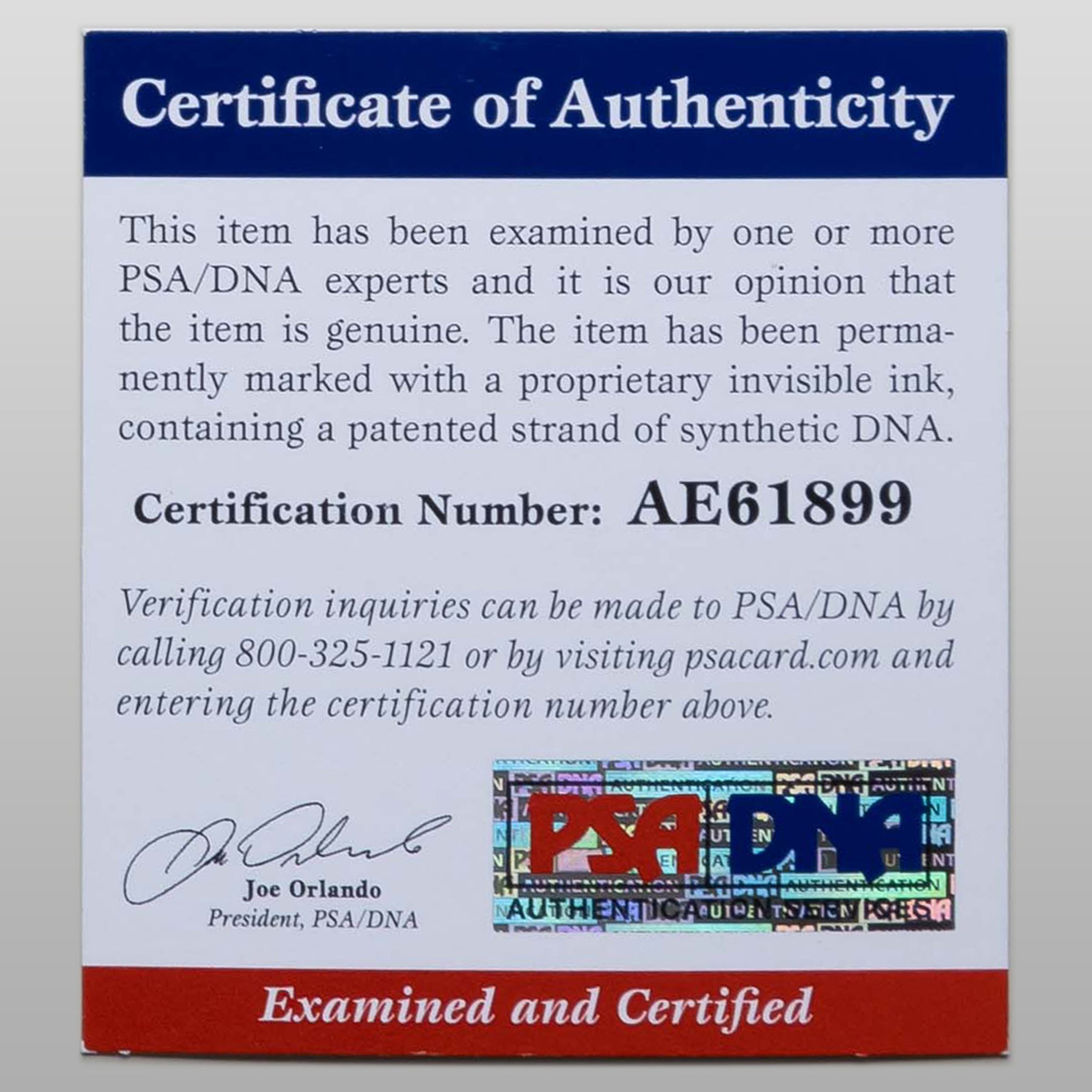 カーメン・エレクトラ