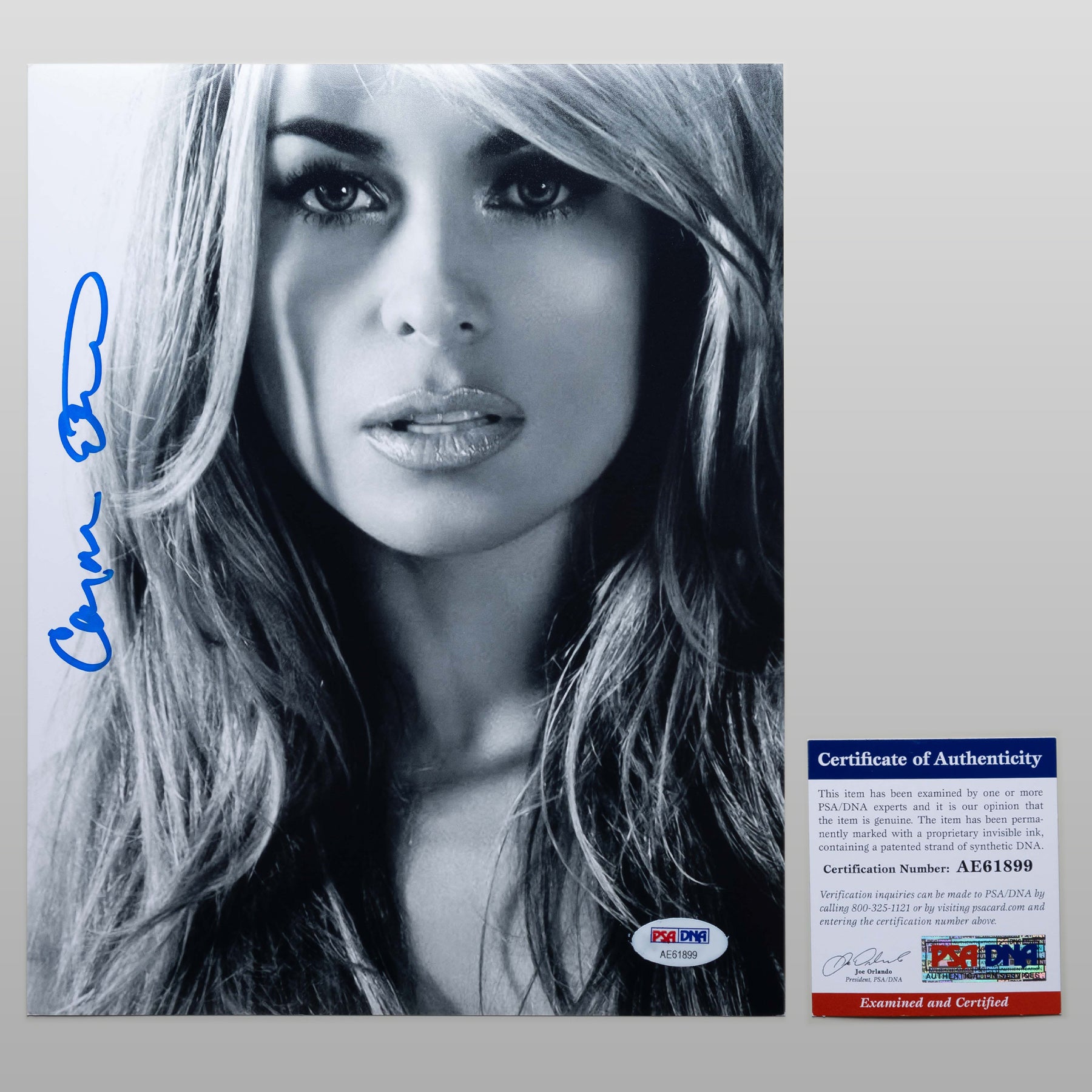 カーメン・エレクトラ