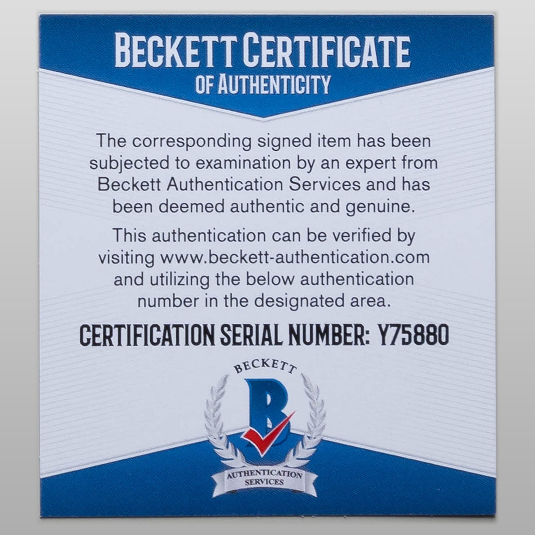 ショーン・ヤング