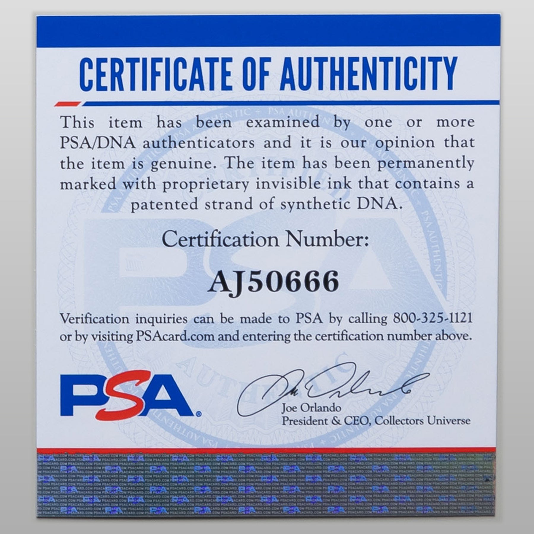 ナオミ・ハリス