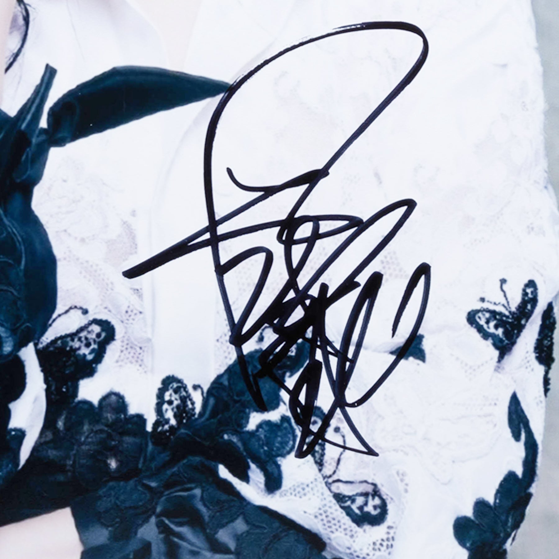 ファン・ビンビン(范 冰冰)