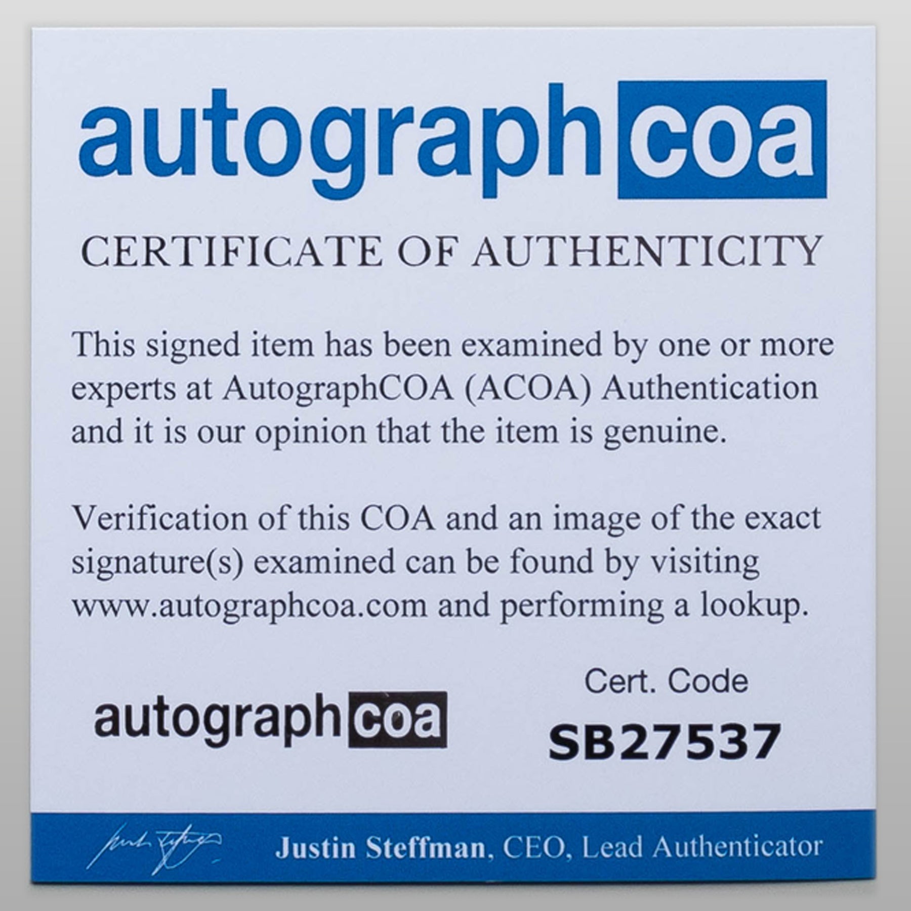 イヴァナ・リンチ