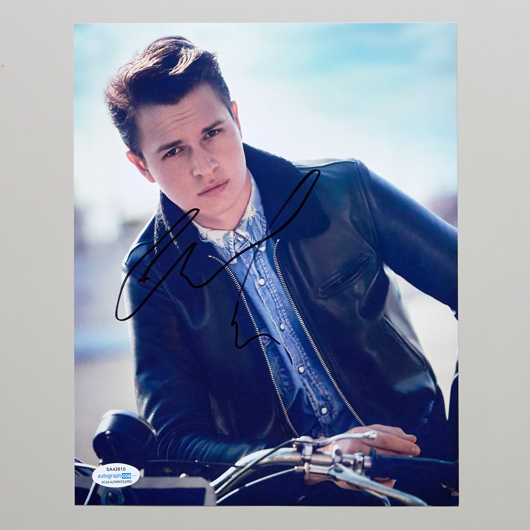 アンセル・エルゴート