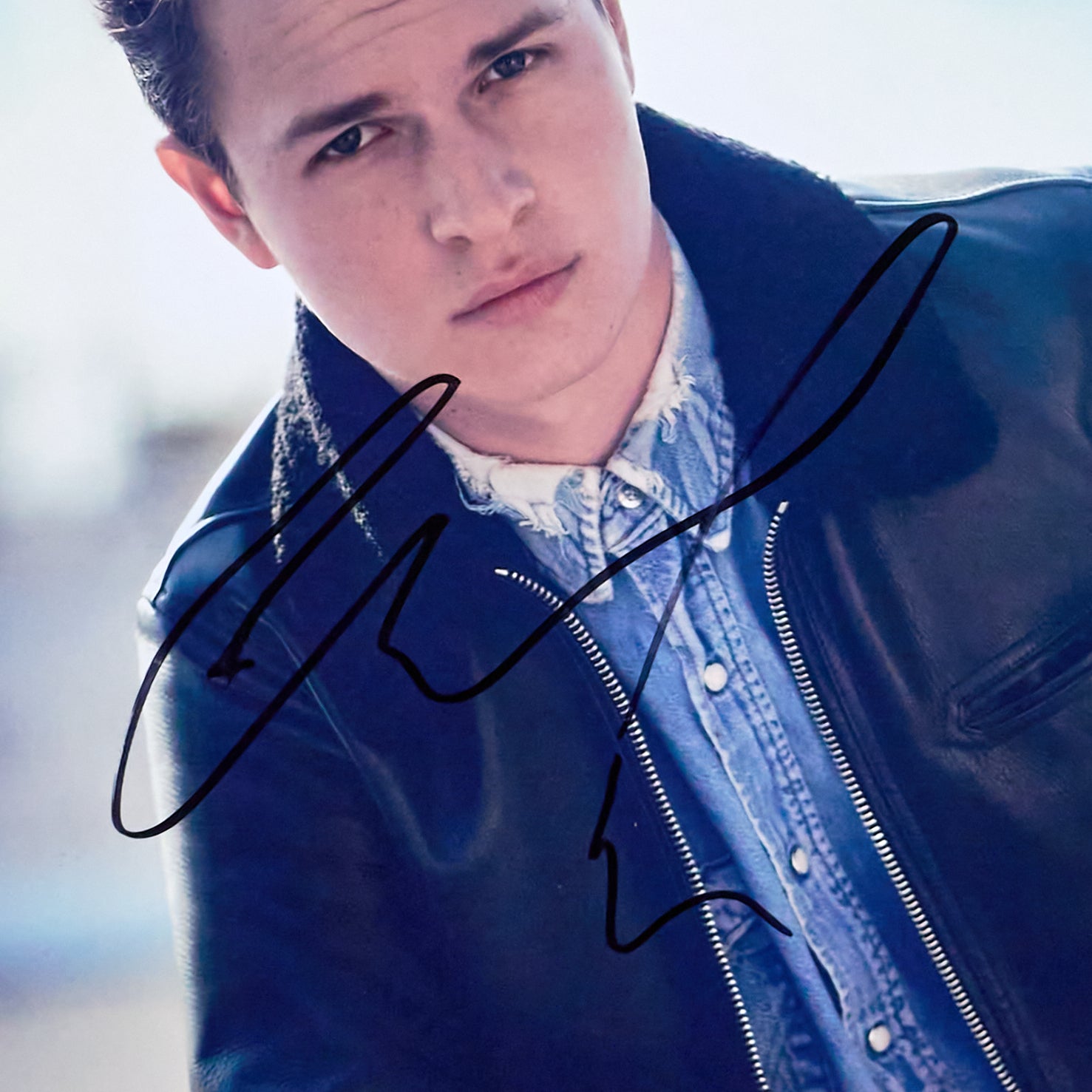 アンセル・エルゴート