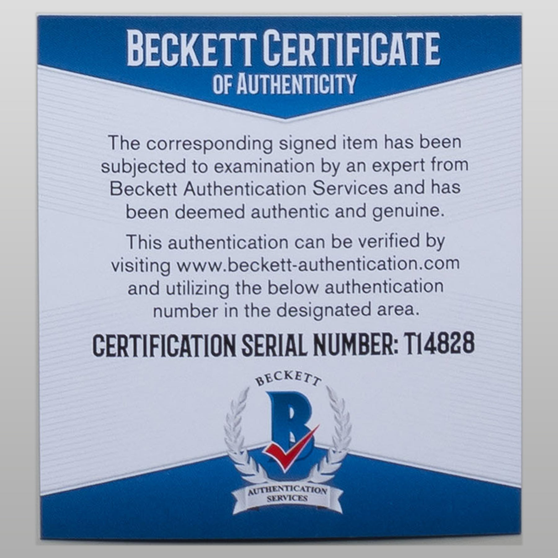 マーティン・シーン