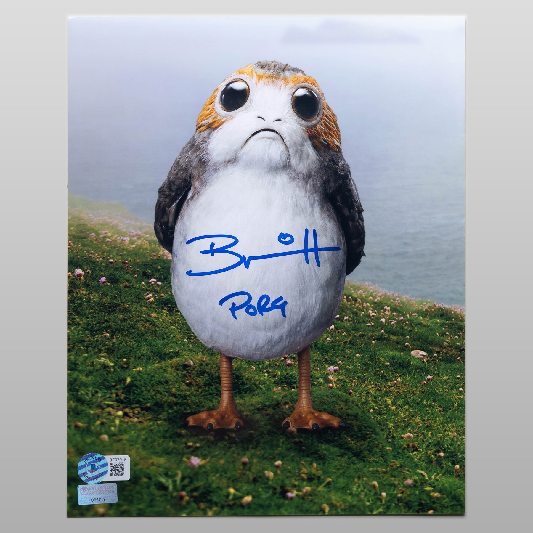 ブライアン・ニシン