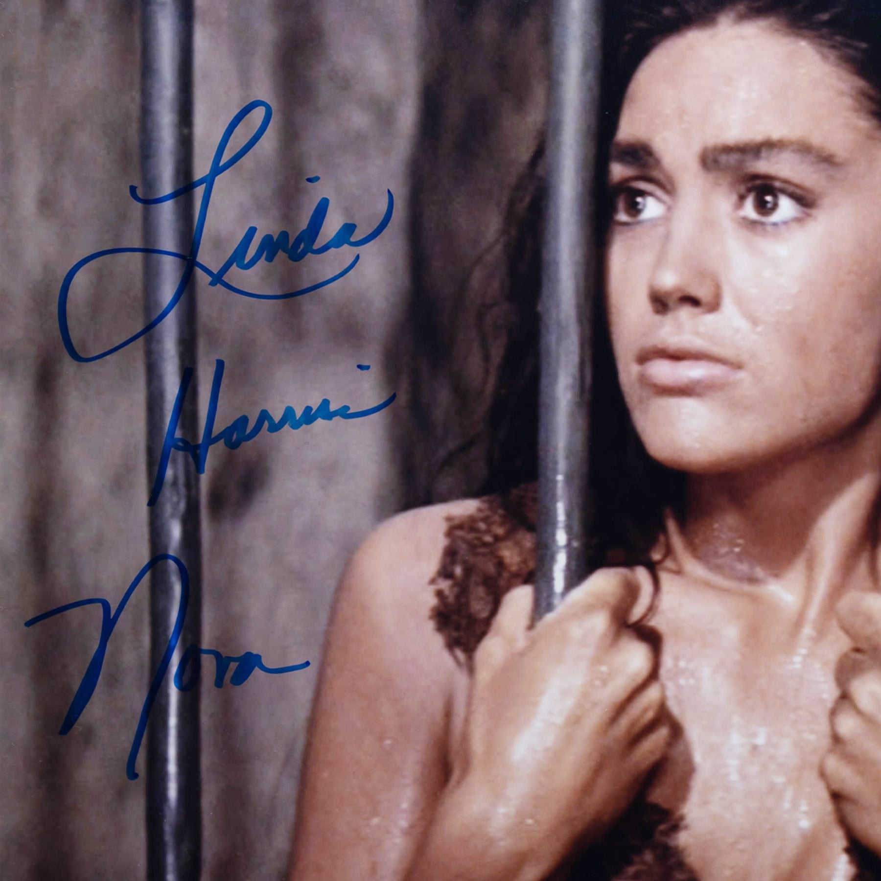 リンダ・ハリソン - ファンコレクションズ