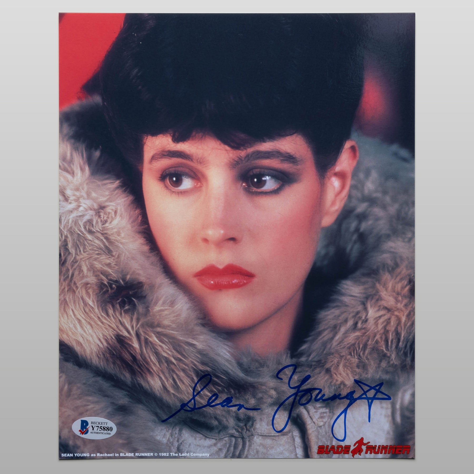 ショーン・ヤング