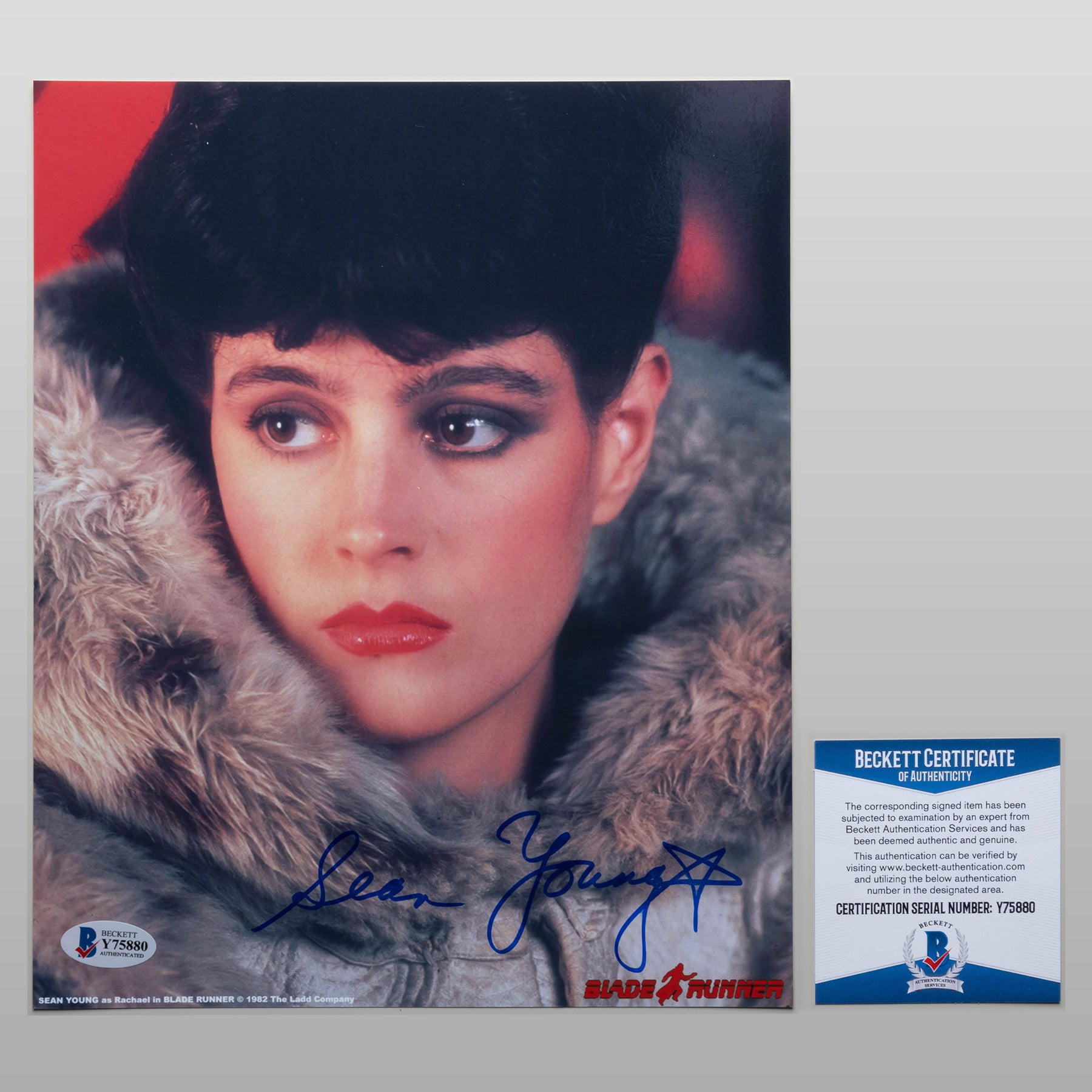 ショーン・ヤング